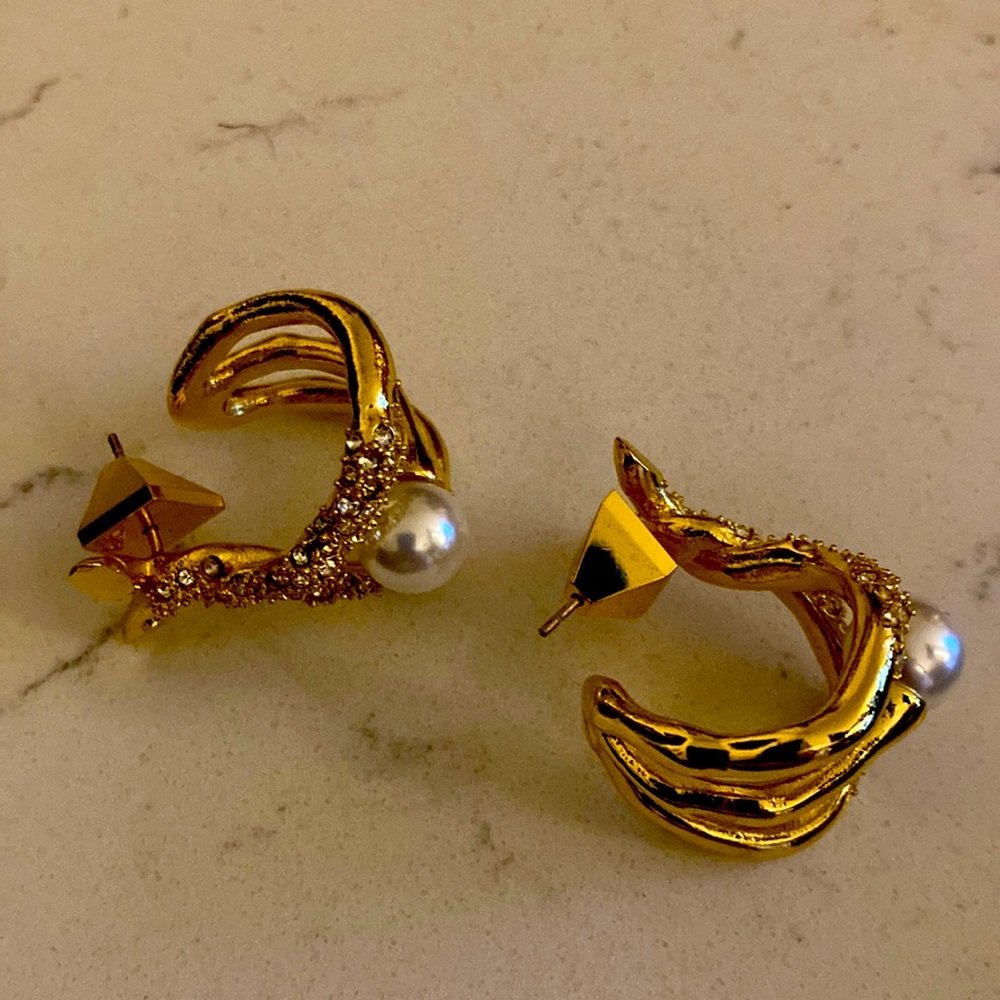 Alexis Bittar earrings. New without tags.